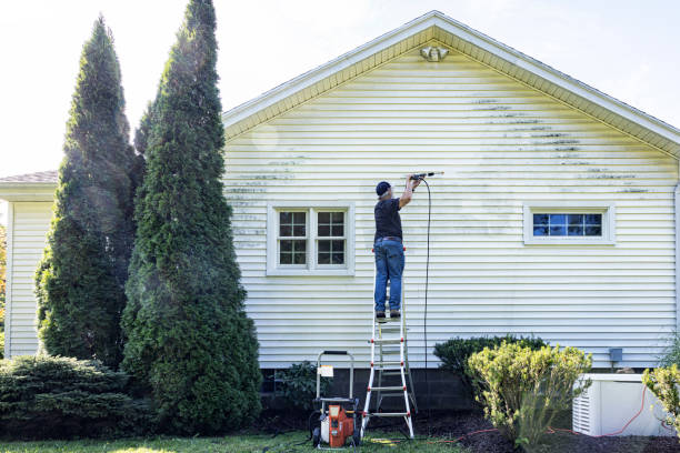 Best Roof Washing  in Martinsville, NJ